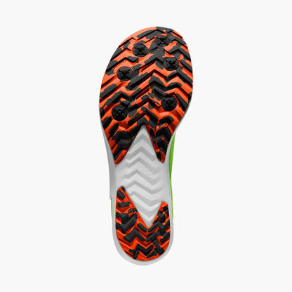 Green Gecko/Red Orange/White