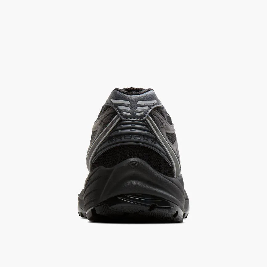 Black/Chameleon